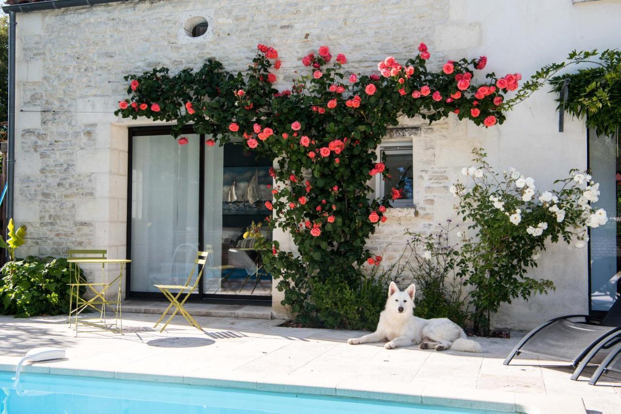 Le Logis De La Brumanderie - Saintes Fontcouverte  ภายนอก รูปภาพ
