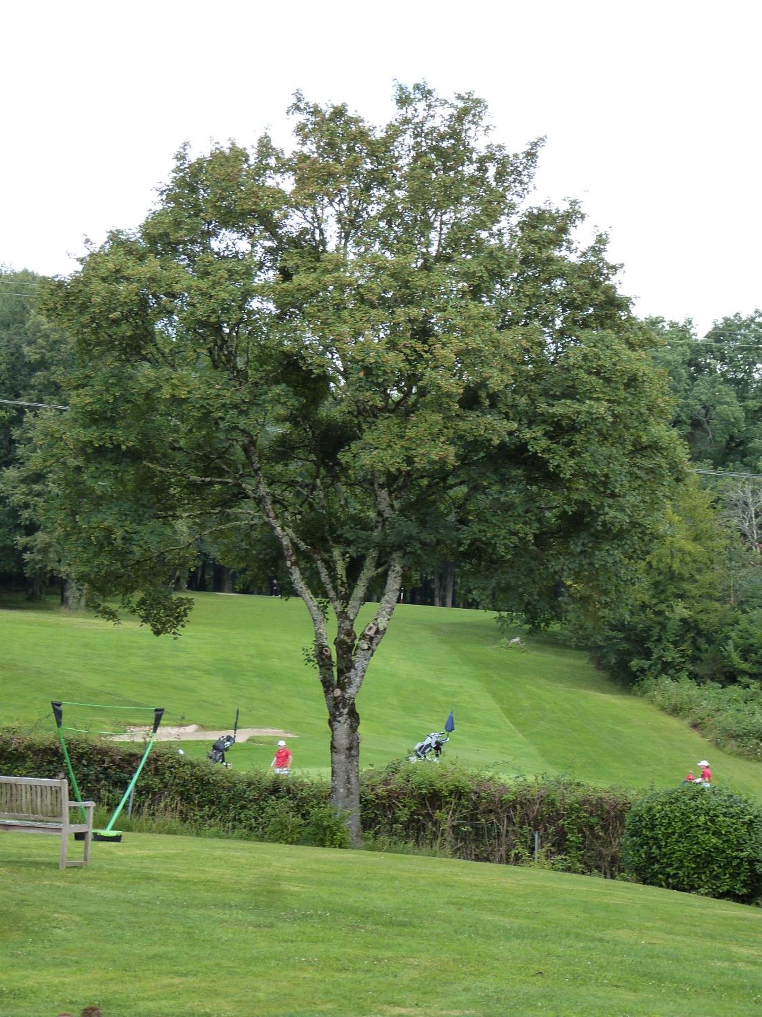 Le Logis De La Brumanderie - Saintes Fontcouverte  ภายนอก รูปภาพ