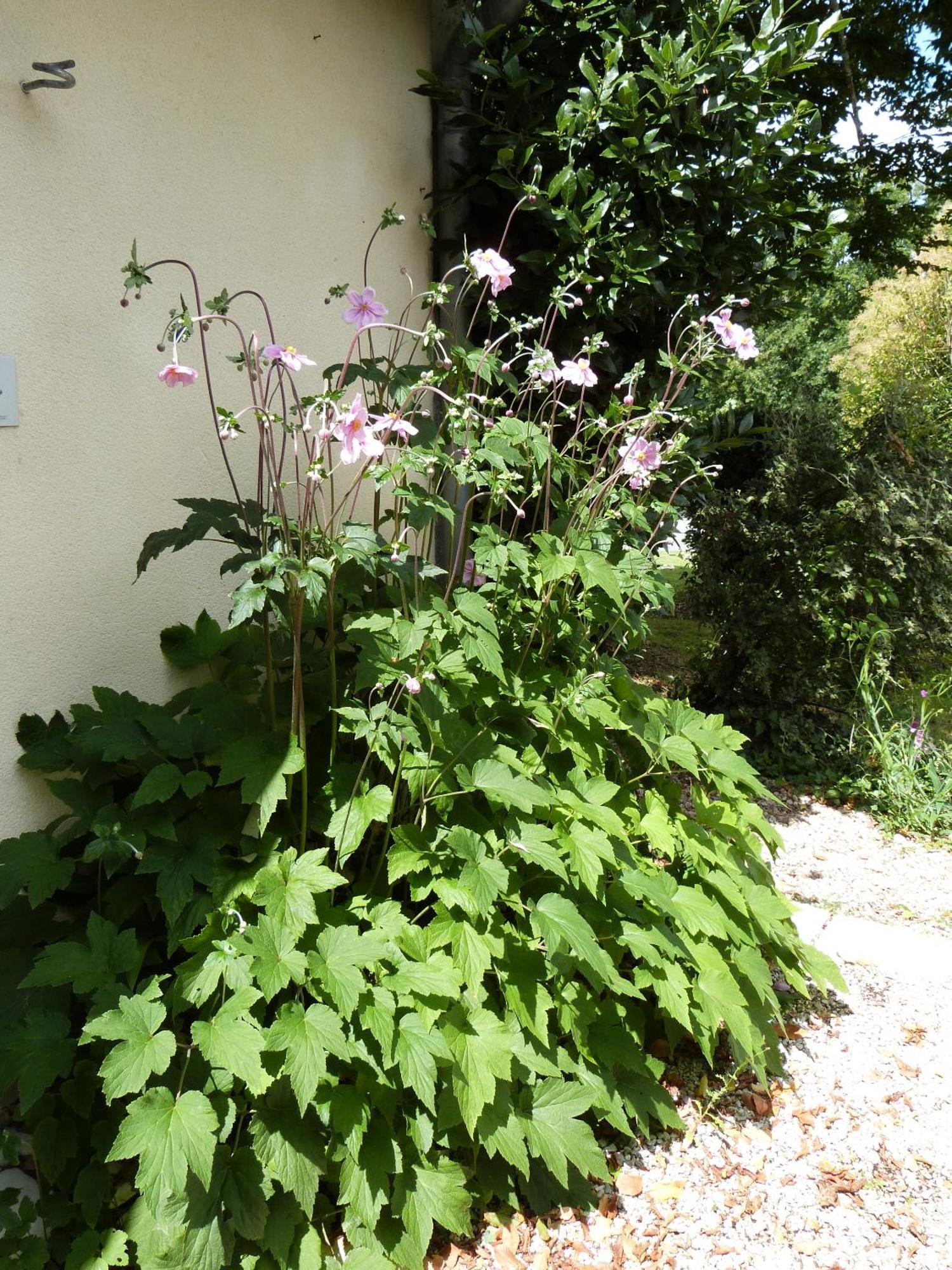 Le Logis De La Brumanderie - Saintes Fontcouverte  ห้อง รูปภาพ