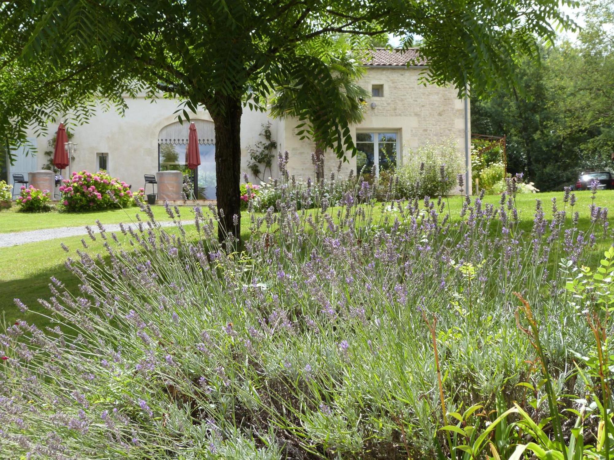 Le Logis De La Brumanderie - Saintes Fontcouverte  ภายนอก รูปภาพ